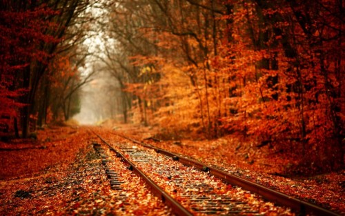 Pictures of Autumn and Fall