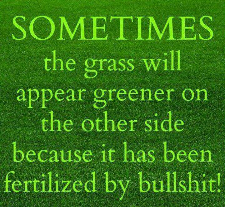 grass is greener on the otherside funny