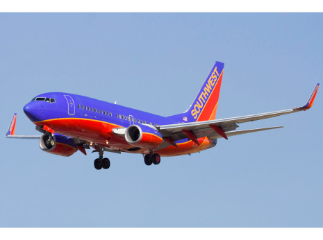 southwest airline employee terminated