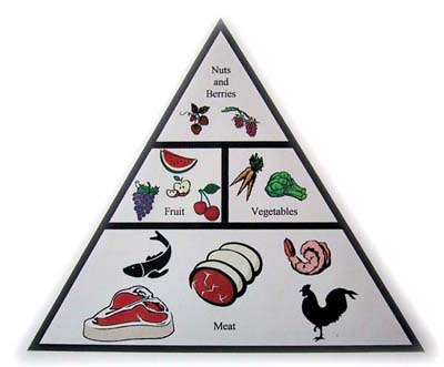 Paleolithic Food Pyramid