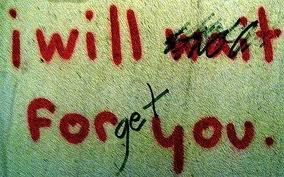 i will wait for you - i will forget you