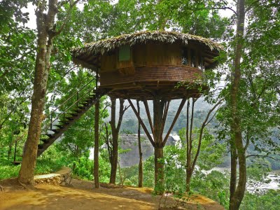 jungle tree house