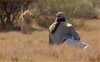 Man vs Lion