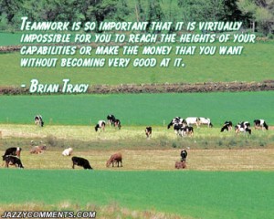 Best Brian Tracy Quote on Team Work