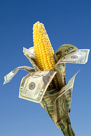 subsidy for corn