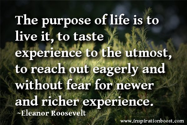 The purpose of life roosevelt