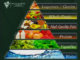 The Real Food Pyramid